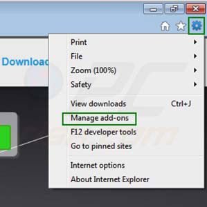 Verwijder Zoom downloader uit de Internet Explorer extensies stap 1