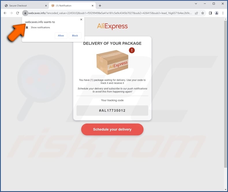 website die wordt gepromoot door deze spam e-mail AliExpress Package 1