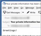 Specialized Hacker Succeeded In Hacking Your Operating System Email oplichting