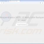 guardflares.com omleidingspromotor 2
