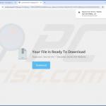 QuickSeek browser hijacker promotor 3