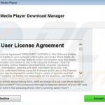 picrec adware installer voorbeeld 2