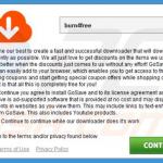 Misleidende installer gebruikt voor de verspreiding van de GoSavenow adware voorbeeld 2
