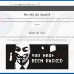 Anonymous Cryptowall website (part 2)