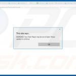 Adobe Flash Player Update (steekproef 1)