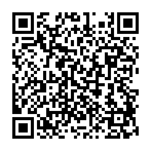 Asyl virus QR code