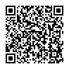 Bactor virus QR code
