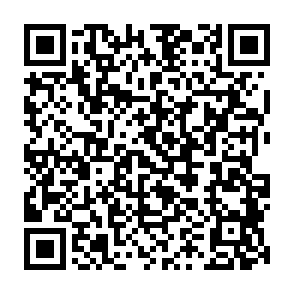 $Bitcat Airdrop crypto drainer QR code