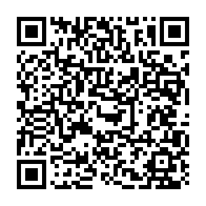 BoryptGrab informatiedief QR code