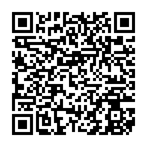 CCLand virus QR code
