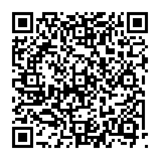 Completed Payment phishingpoging QR code