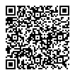 CrashStealer-virus QR code