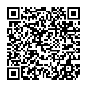 Dolphin X remote access trojan QR code