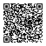 dragonboss.solutions doorverwijzingen QR code