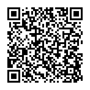 EKZ infostealer QR code