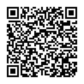 Advertenties van ellinfituns.com QR code