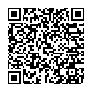 Evolution information stealer QR code