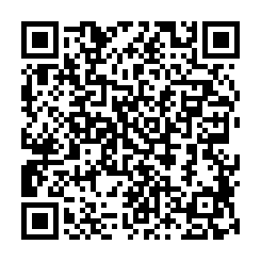 Fake Xeno script executor QR code