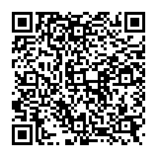 Image Search browserkaper QR code