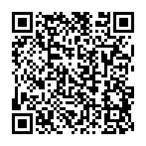 Hitler virus QR code