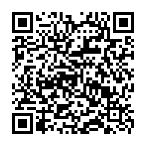 Hudson virus QR code