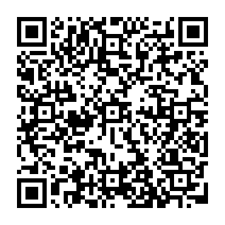 Internal Error phishing email QR code