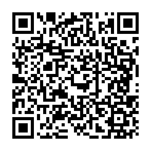 LabubaRAT remote access trojan QR code