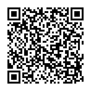 Lampion virus QR code