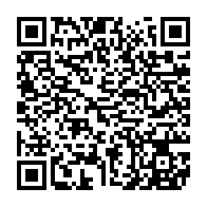 LLHN infostealer QR code