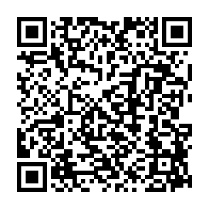 LQTOREQ virus QR code