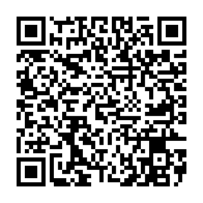 Lunex data stealer QR code