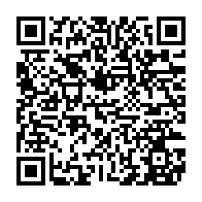 MAIN virus QR code