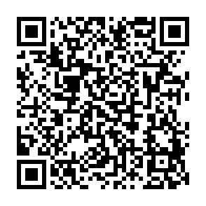 Monkey virus QR code