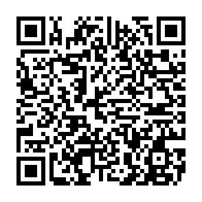 Montage virus QR code