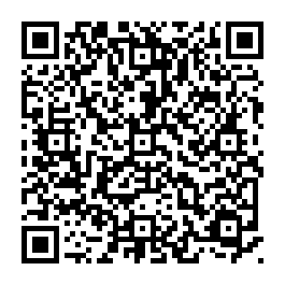 WorkFaze browserkaper QR code