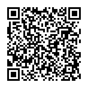 Navi remote access trojan QR code