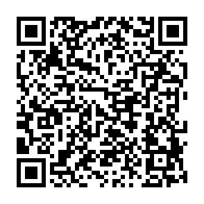 Needle Stealer malware QR code