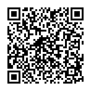 NimDoor stealer QR code