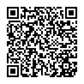 NOCT virus QR code