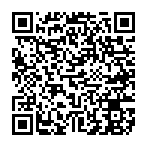 OctoRAT trojan voor externe toegang QR code