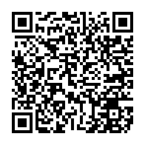 Pdf (2) virus QR code