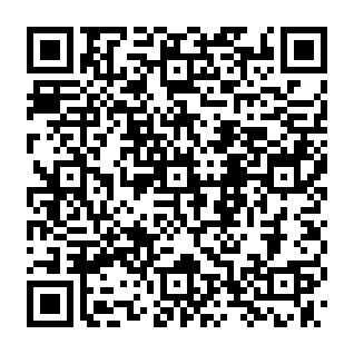 PhantomStealer information dief QR code