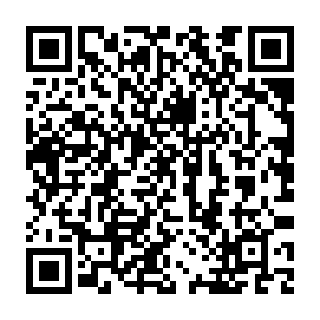 PINHOLE extern toegang trojan QR code