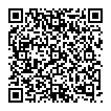 Punisher Miner virus QR code