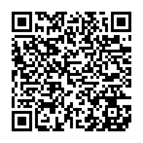 QuirkyLoader virus QR code