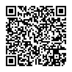 Raven information stealer QR code