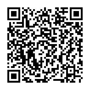 Regulus-virus QR code