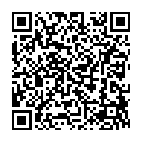 Remus information stealer QR code