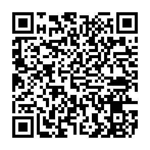 REVSTEALER infostealer QR code