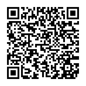 RIED-virus QR code